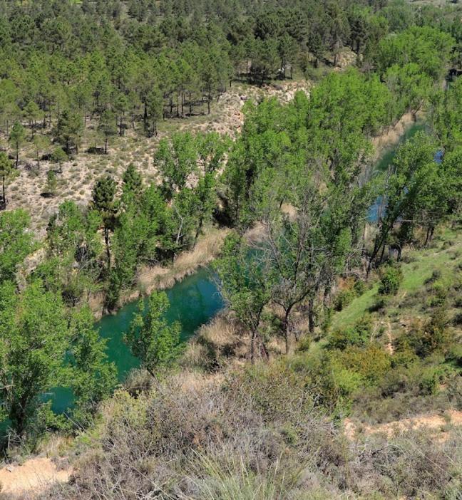 Casa Rural Guadiela San Pedro Palmiches Eksteriør bilde